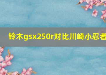 铃木gsx250r对比川崎小忍者