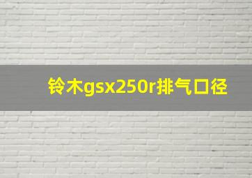 铃木gsx250r排气口径