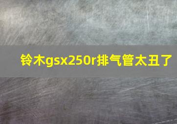 铃木gsx250r排气管太丑了