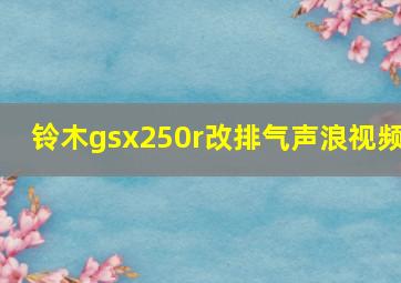 铃木gsx250r改排气声浪视频