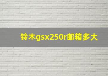 铃木gsx250r邮箱多大