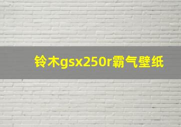 铃木gsx250r霸气壁纸