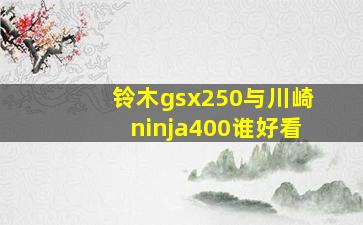 铃木gsx250与川崎ninja400谁好看