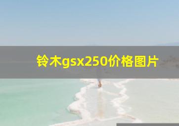 铃木gsx250价格图片