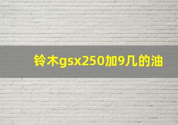 铃木gsx250加9几的油