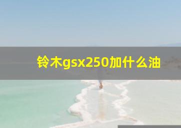 铃木gsx250加什么油