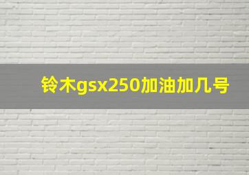 铃木gsx250加油加几号