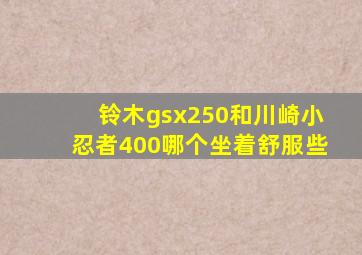 铃木gsx250和川崎小忍者400哪个坐着舒服些