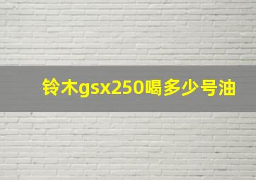 铃木gsx250喝多少号油