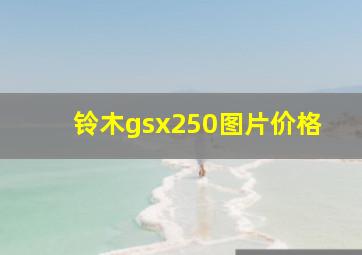 铃木gsx250图片价格