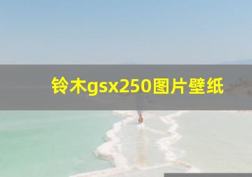 铃木gsx250图片壁纸