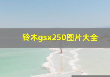 铃木gsx250图片大全