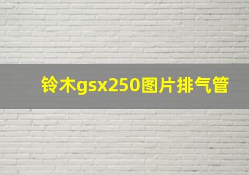 铃木gsx250图片排气管