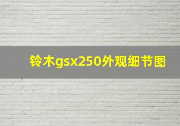 铃木gsx250外观细节图