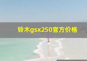 铃木gsx250官方价格