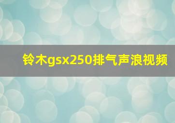 铃木gsx250排气声浪视频