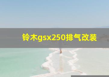 铃木gsx250排气改装