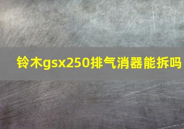 铃木gsx250排气消器能拆吗