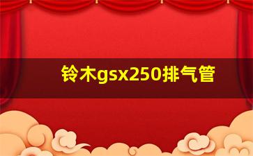 铃木gsx250排气管