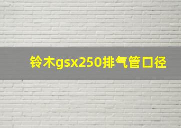 铃木gsx250排气管口径