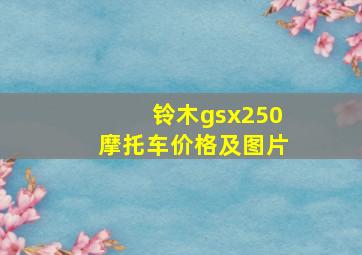 铃木gsx250摩托车价格及图片