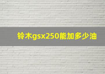 铃木gsx250能加多少油