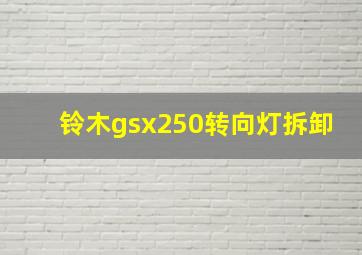 铃木gsx250转向灯拆卸