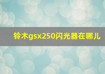 铃木gsx250闪光器在哪儿