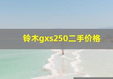 铃木gxs250二手价格