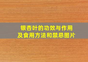 银杏叶的功效与作用及食用方法和禁忌图片