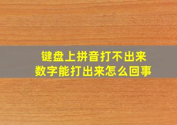 键盘上拼音打不出来数字能打出来怎么回事