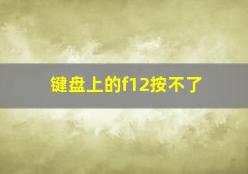 键盘上的f12按不了