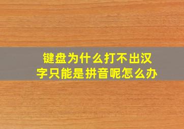 键盘为什么打不出汉字只能是拼音呢怎么办