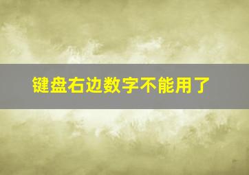 键盘右边数字不能用了