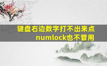 键盘右边数字打不出来点numlock也不管用