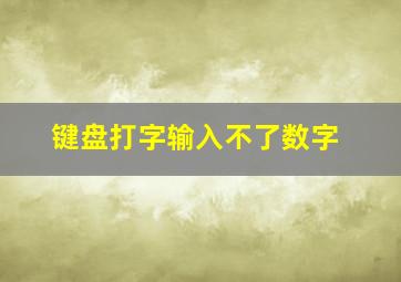 键盘打字输入不了数字