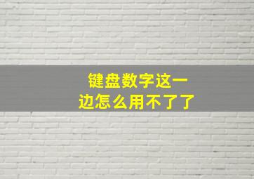 键盘数字这一边怎么用不了了