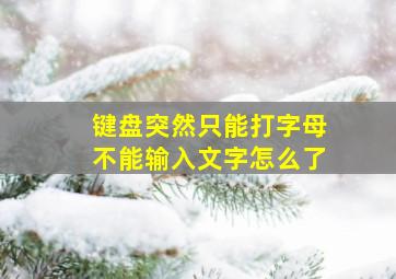 键盘突然只能打字母不能输入文字怎么了