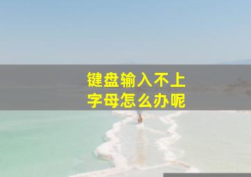 键盘输入不上字母怎么办呢