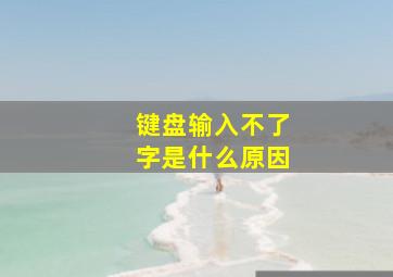 键盘输入不了字是什么原因