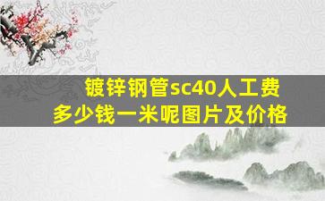 镀锌钢管sc40人工费多少钱一米呢图片及价格