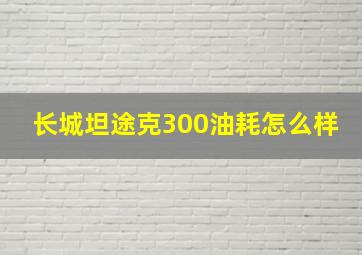 长城坦途克300油耗怎么样