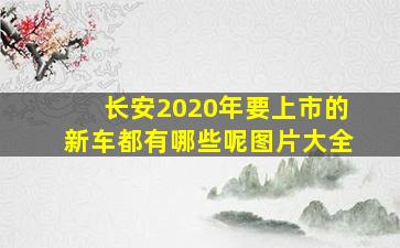 长安2020年要上市的新车都有哪些呢图片大全