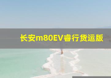 长安m80EV睿行货运版