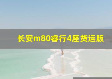 长安m80睿行4座货运版