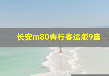 长安m80睿行客运版9座