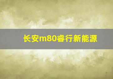 长安m80睿行新能源