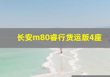 长安m80睿行货运版4座