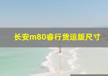 长安m80睿行货运版尺寸