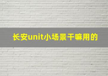 长安unit小场景干嘛用的